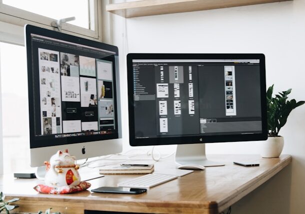 tran-mau-tri-tam-XyaFyD87o6E-unsplash